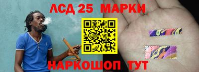 хмурый Сланцы