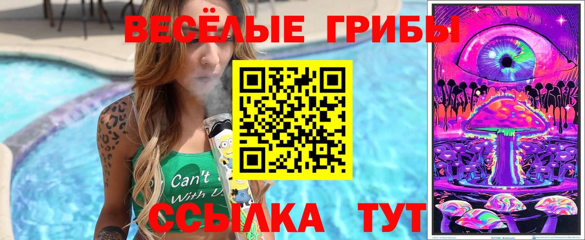 Галлюциногенные грибы прущие грибы  цена наркотик  Назрань  Вход с VPN 